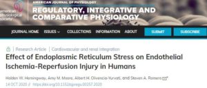 Effect of Endoplasmic Reticulum Stress on Endothelial Ischemia-Reperfusion Injury in Humans