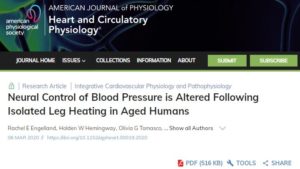 Neural Control of Blood Pressue is Altered Following Isolated Leg Heating in Aged Humans