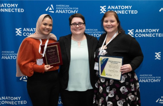 2024 AAA award winners