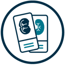 A circular blue icon featuring two overlapping microscope slides centered inside a thin blue ring. One slide displays a simplified embryo illustration, and the other shows a stylized organ or kidney graphic. The design is minimal, flat, and monochromatic in shades of blue against a dark background, representing histology or laboratory tissue analysis.