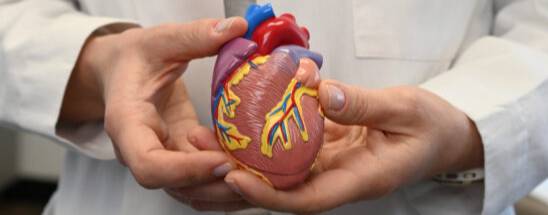 Cardiology Laine Markham 016