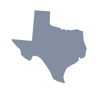 Texas Graphic