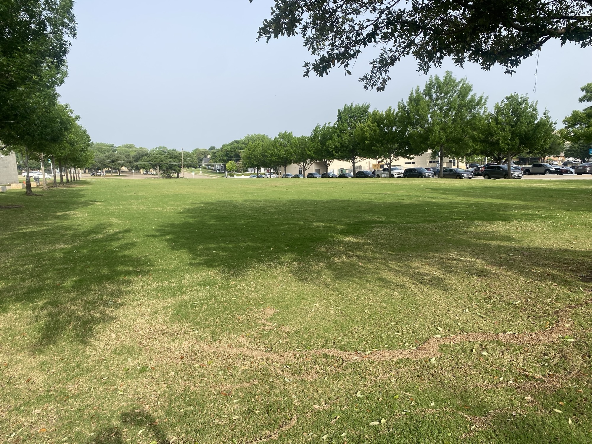 MET Lawn second view