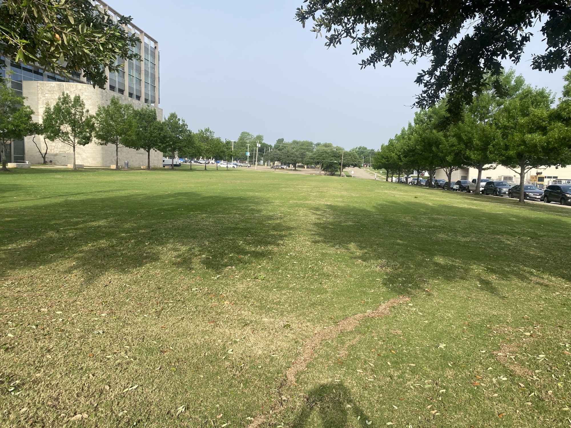 MET Lawn first view