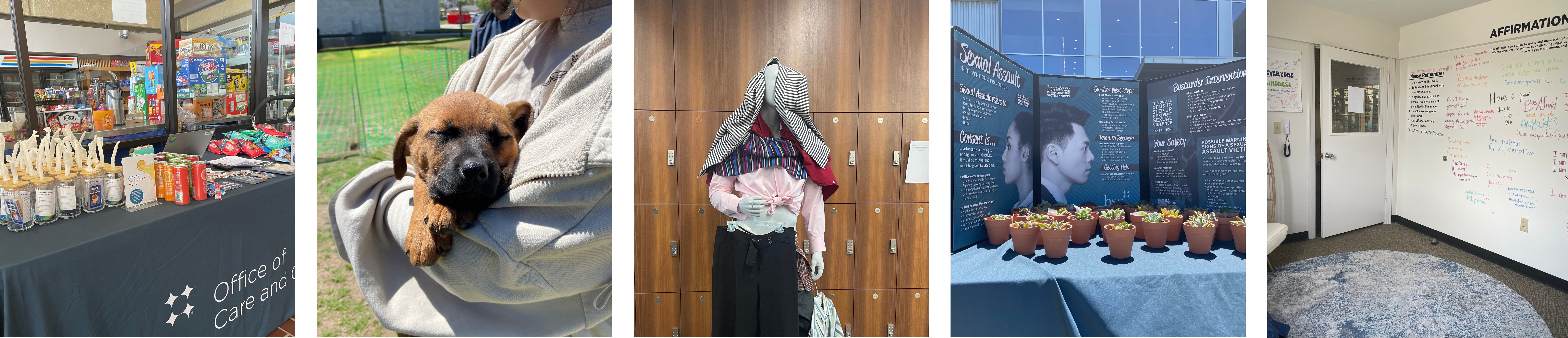 Strip of photos highlighting events that are held by care and civility